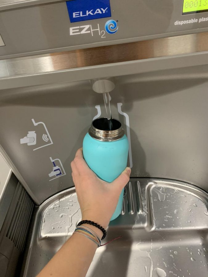 Which Water Fountain Water is Best?