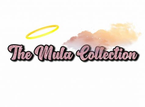 CCHS Spotlight - Kayla Overall and The Mula Collection