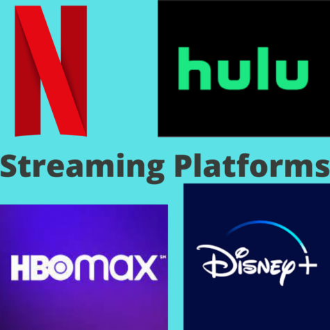 Student Preferred Streaming Platform