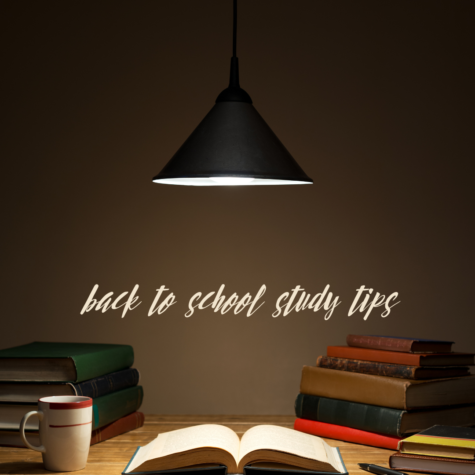 Great Back to School Study Tips