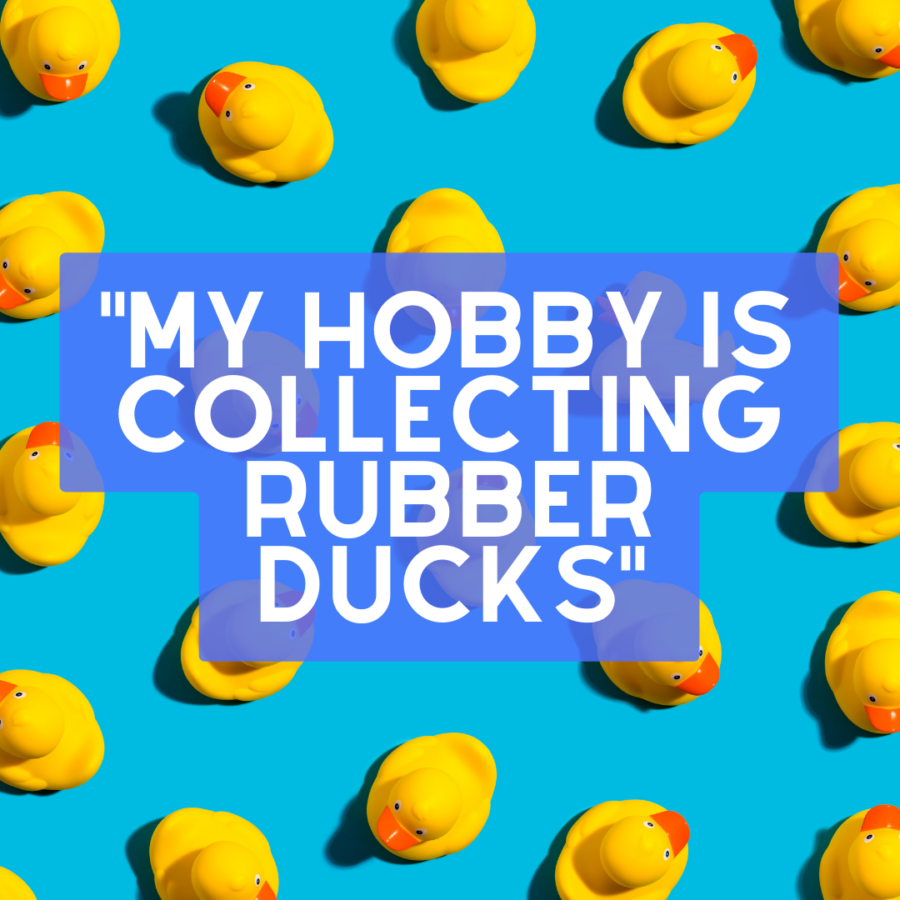 Personal Hobby Feature: Rubber Duck Collection