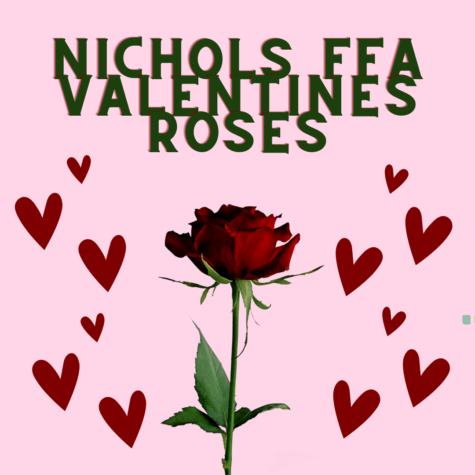 FFA Valentines Day Roses
