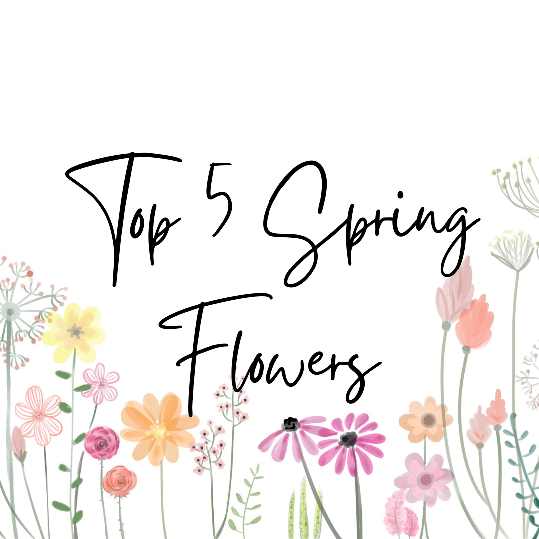 Top 5 Spring Flowers