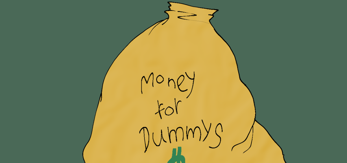 Here Man: Money for Dummys