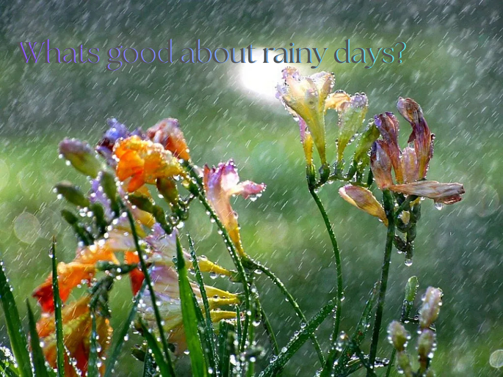 Whats good about rainy days?